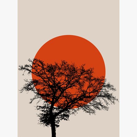 Poster-Zusammenfassung: Sonne