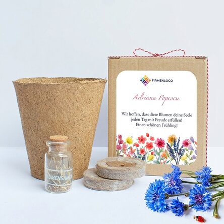 Set zum Pflanzen von Frühlingsblumen in einer personalisierten Schachtel mit Logo und Botschaft