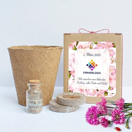 Set zum Pflanzen von Frühlingsblumen in einer personalisierten Schachtel mit Logo und Botschaft