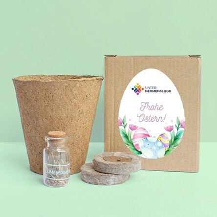 Blumenpflanz-Set in einer personalisierten Schachtel mit Logo und Text – Frohe Ostern!