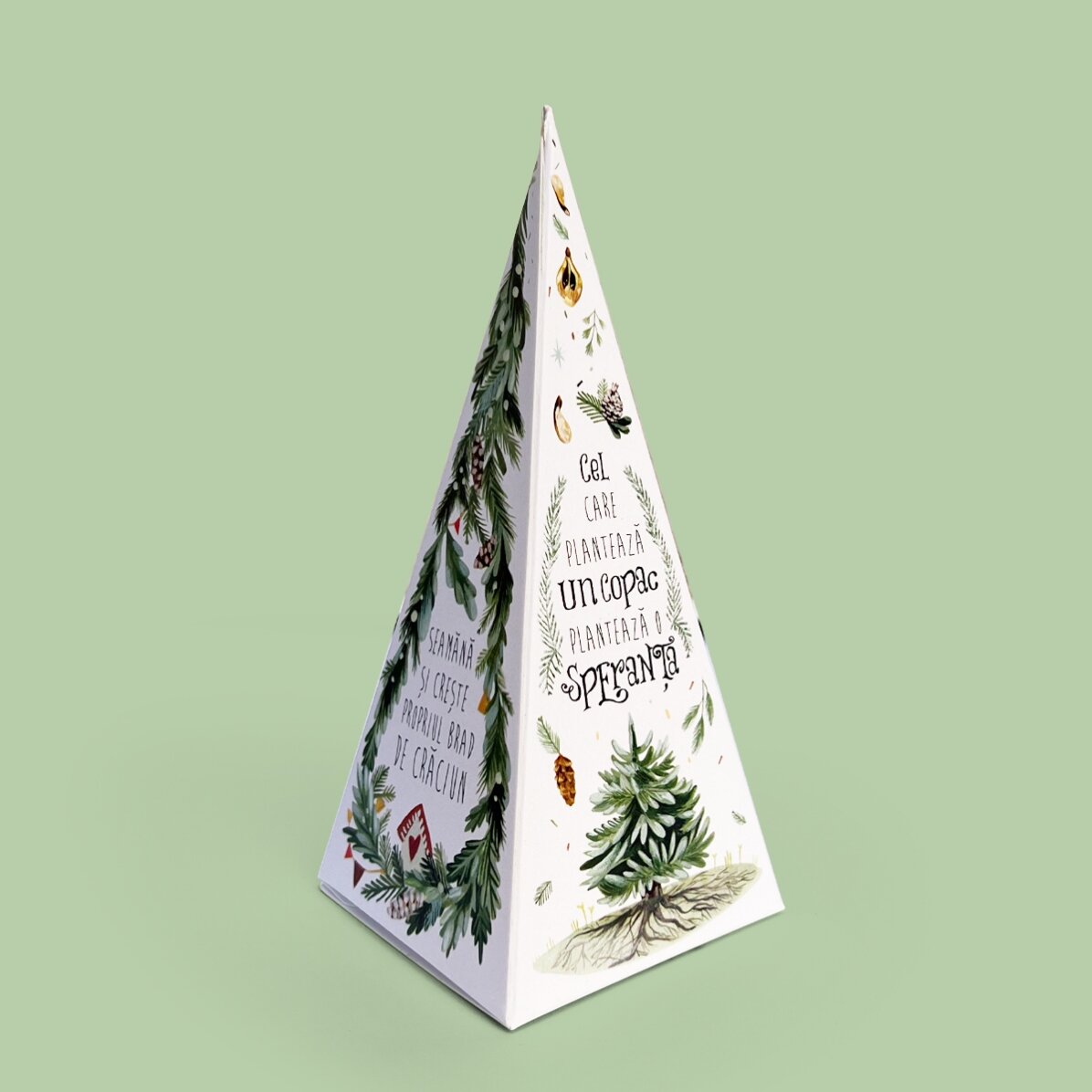 Individuell gestaltetes Tannenbaum-Pflanzset mit Logo und Botschaft – Frohe Weihnachten