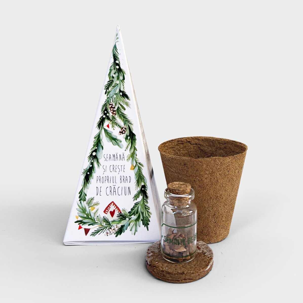Individuell gestaltetes Tannenbaum-Pflanzset mit Monogramm