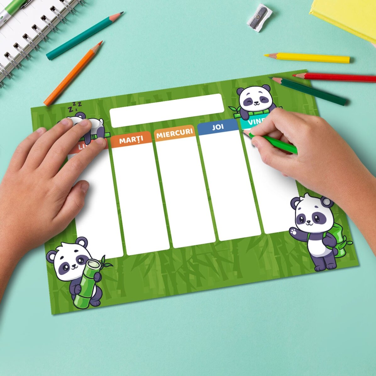 Individuell gestalteter Stundenplan mit Text – Cute Panda