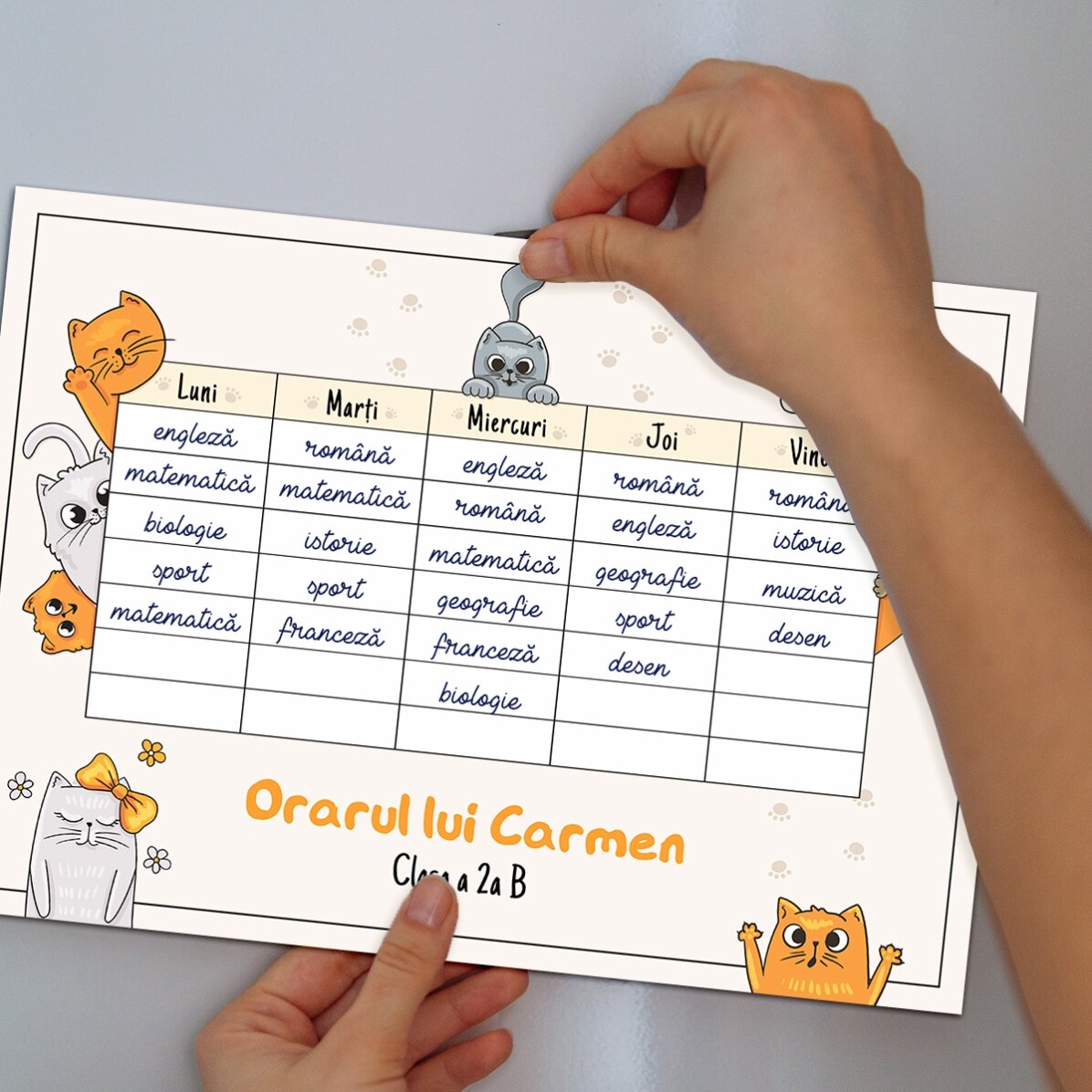 Individuell gestalteter Stundenplan mit Text – Kittens