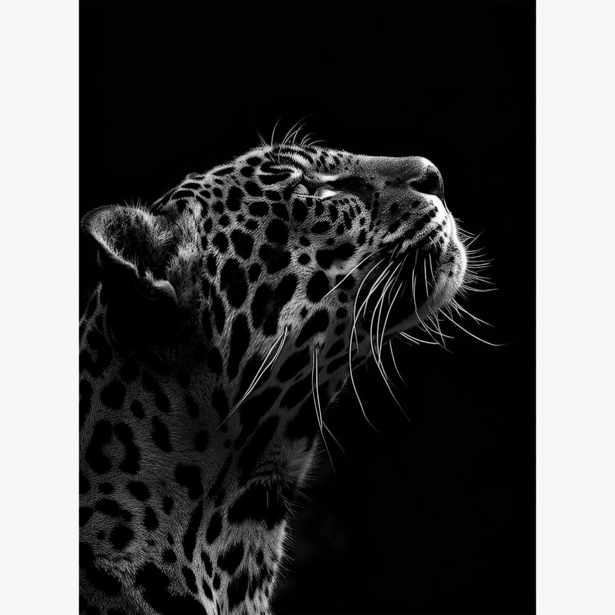Poster „Black and White Jaguar“