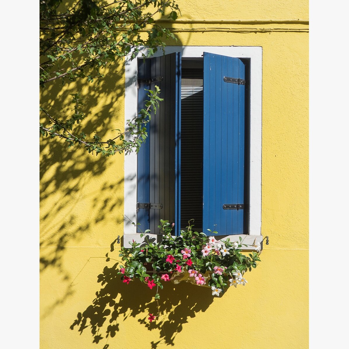 Poster „Das blaue Fenster mit Blumen“