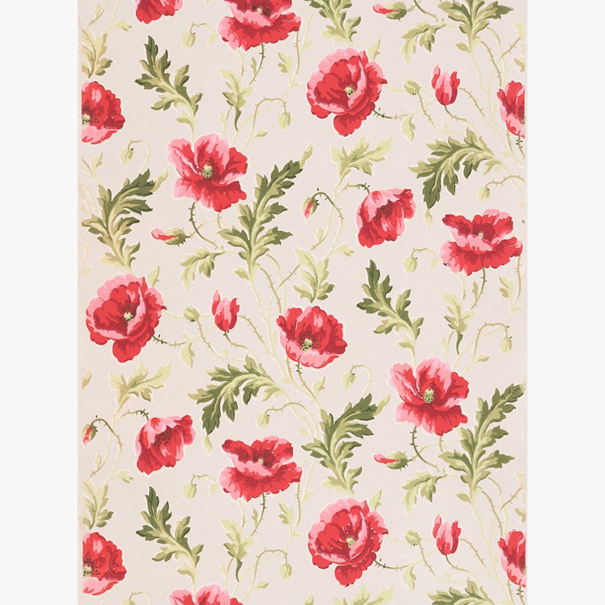 Pink Flowers Poster