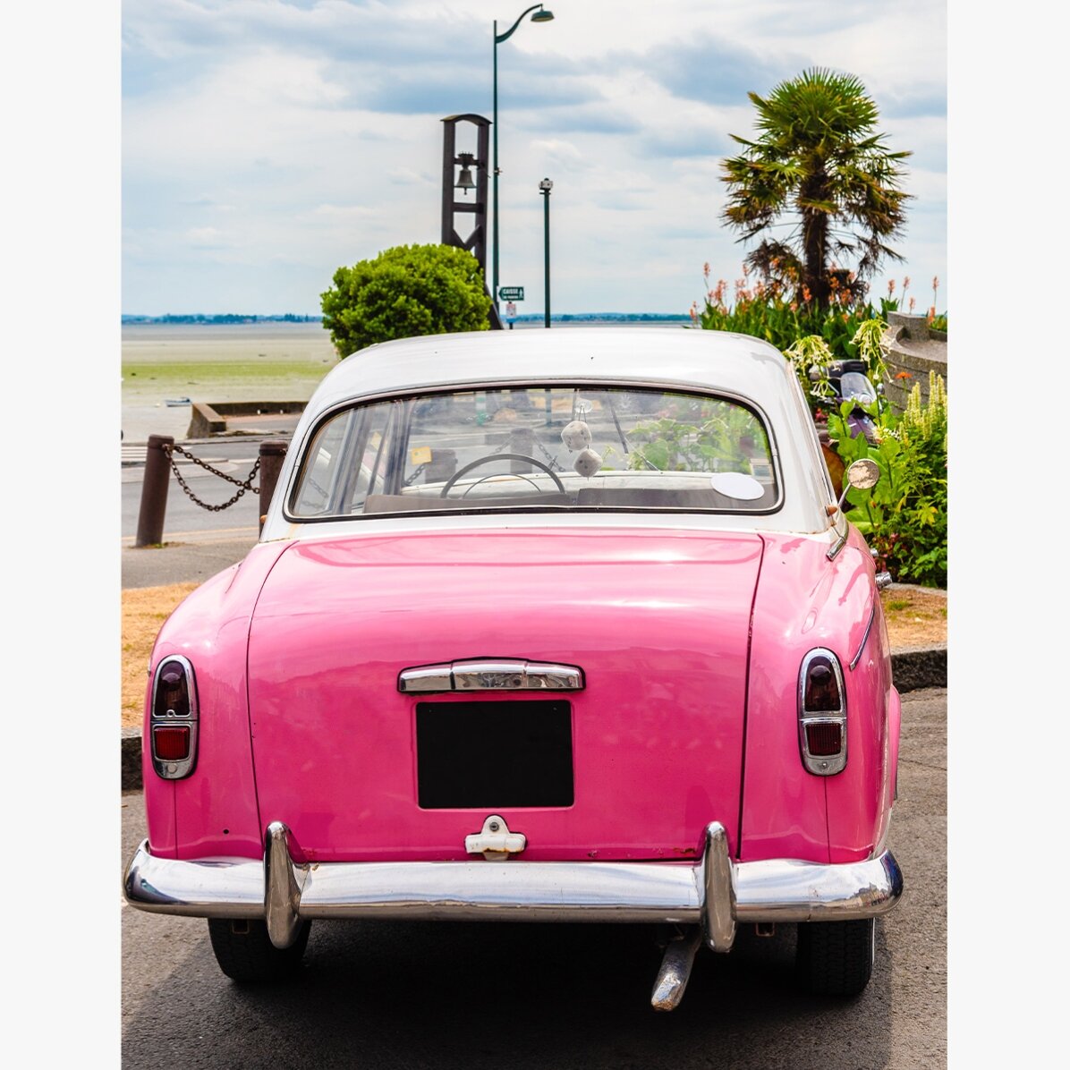 Poster: Rosa Oldtimer
