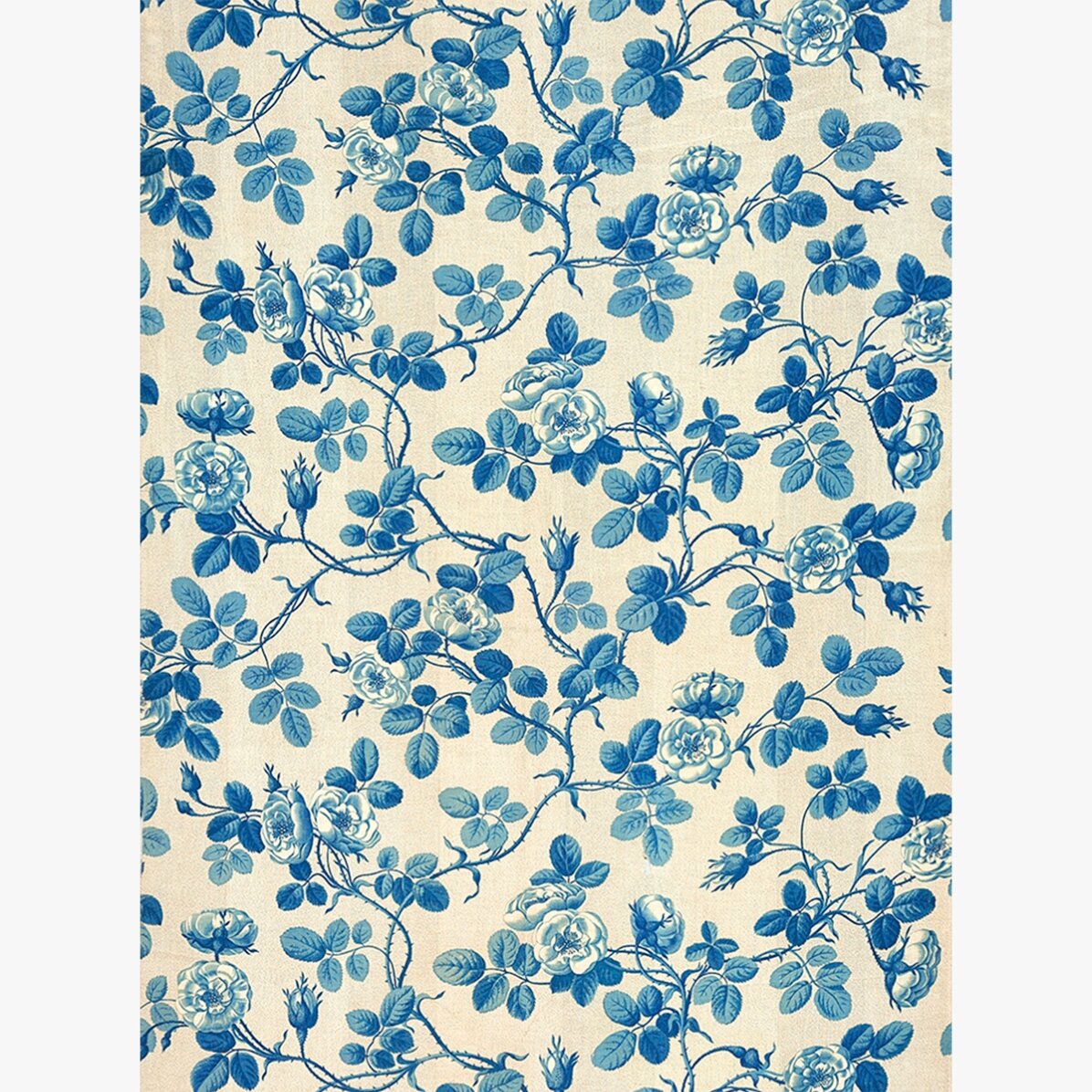 Poster „Blaue Pflanzen“