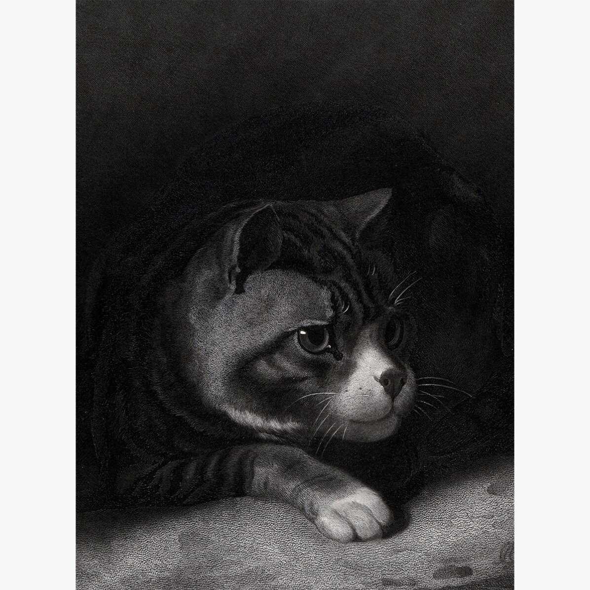 Poster William Gil, Vigilant Cat Watching Through Shadows 1855