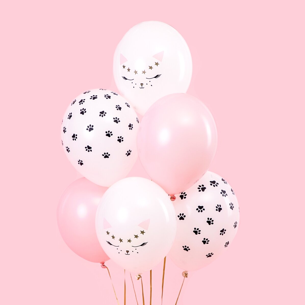 Set of 6 mixed balloons - Kittens