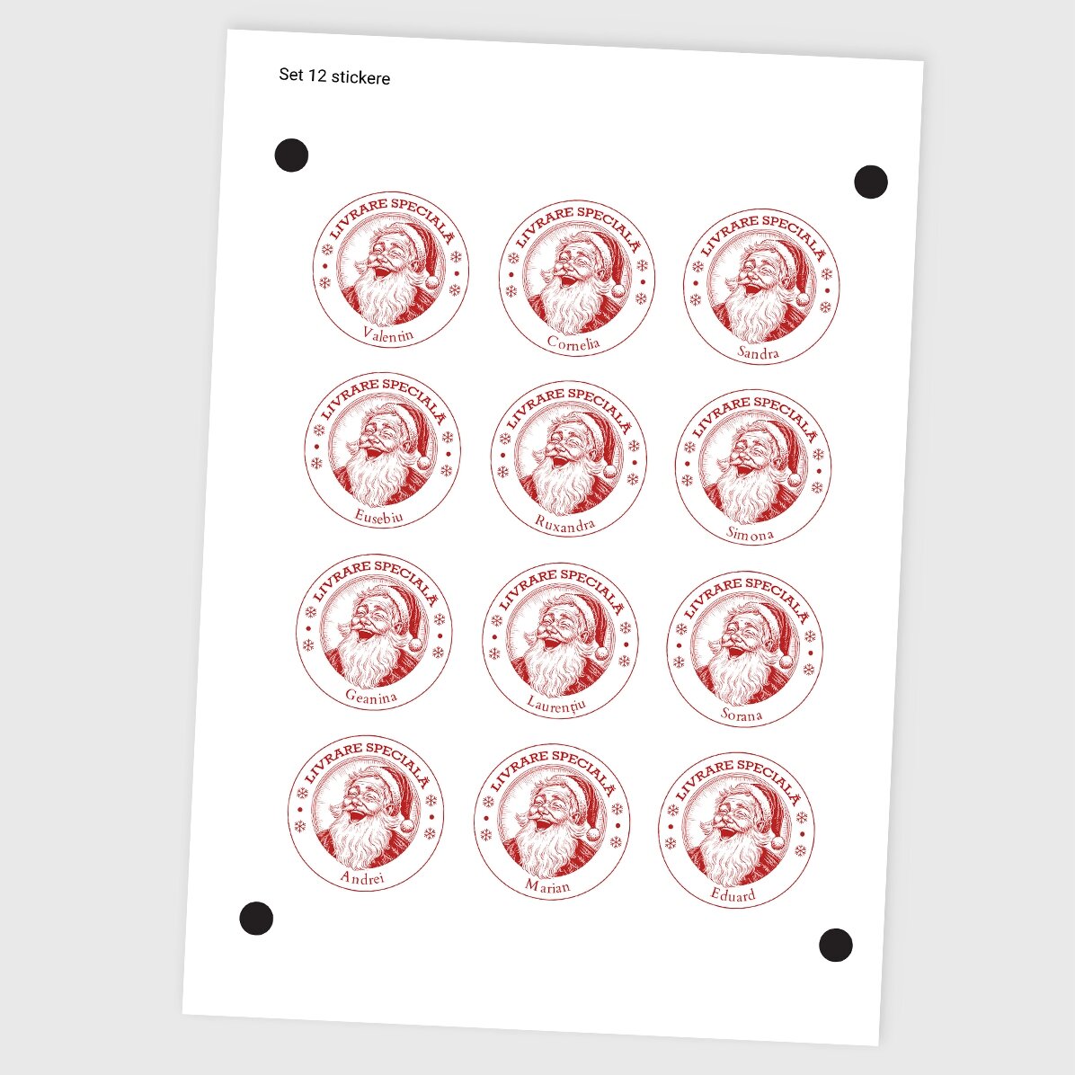 Set mit 12 individuell mit Namen bedruckten Aufklebern (selbstklebende Etiketten) – Sonderlieferung