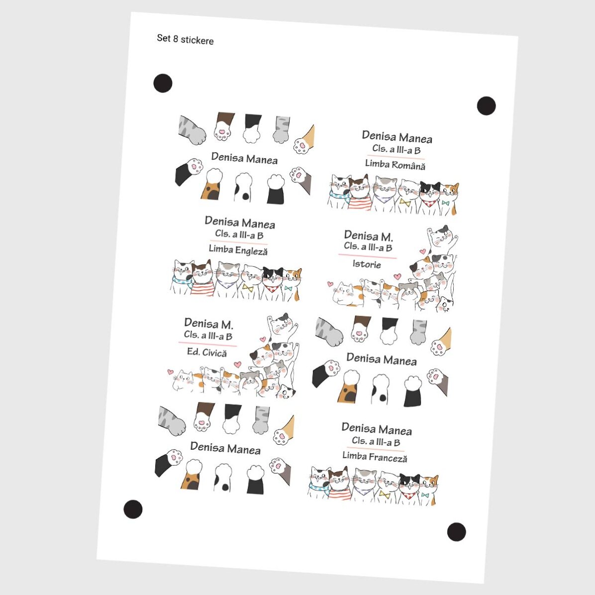 Set of 8 customised stickers (self-adhesive labels) for school - Kitty