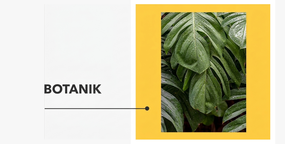 Poster – Botanische Sammlung