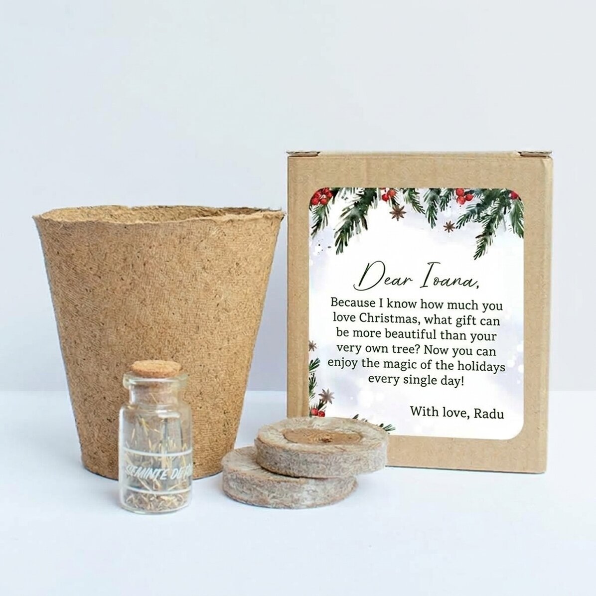 Set zum Einpflanzen von Tannensamen in einer personalisierten Schachtel mit Weihnachtsbotschaft