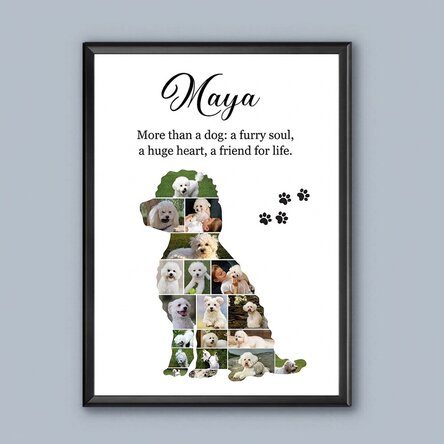 Individuell gestaltetes Bild mit 19 Fotos und Text – Kleiner Hund